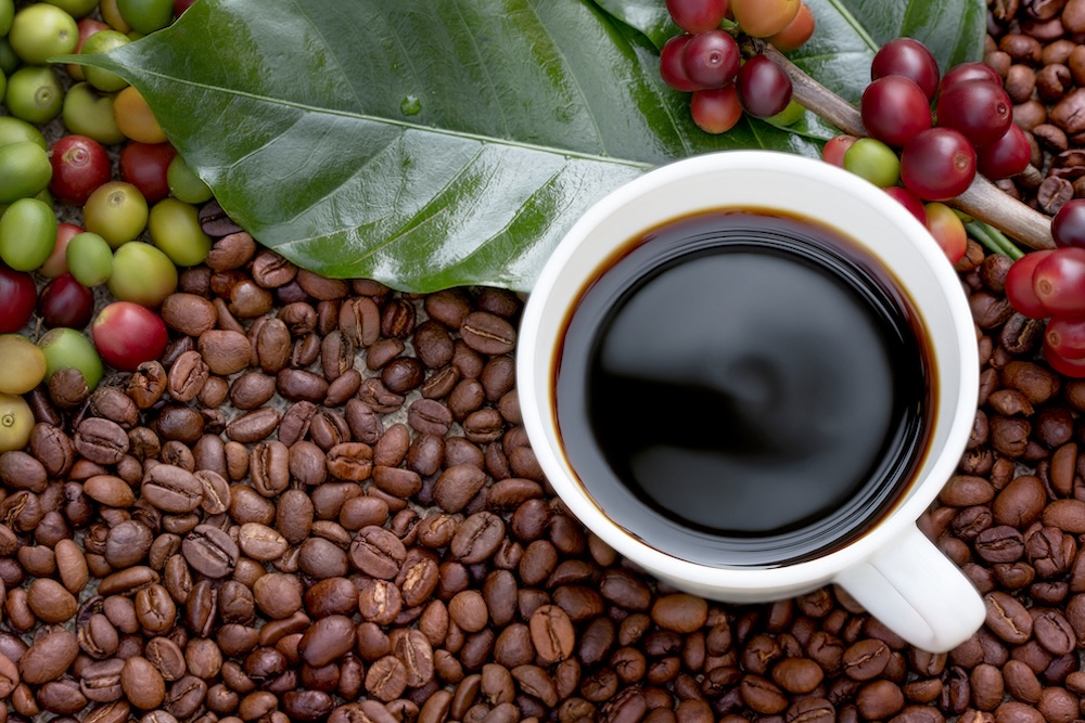 coffee cup sitting on top of coffee beans