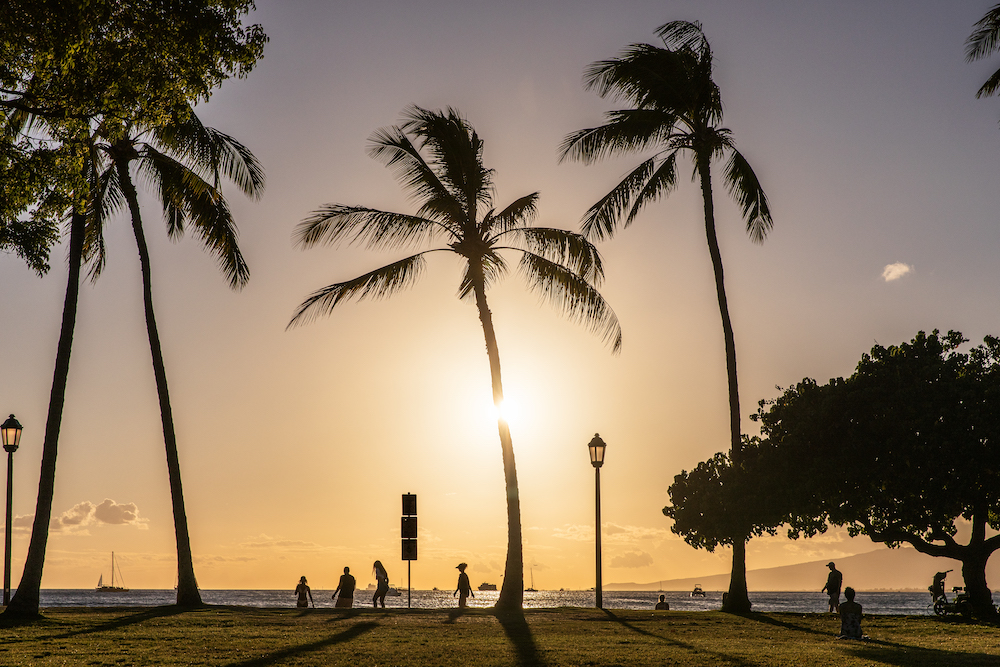 Silhouette of palm trees against the setting sun with people walking at Waikiki Beach